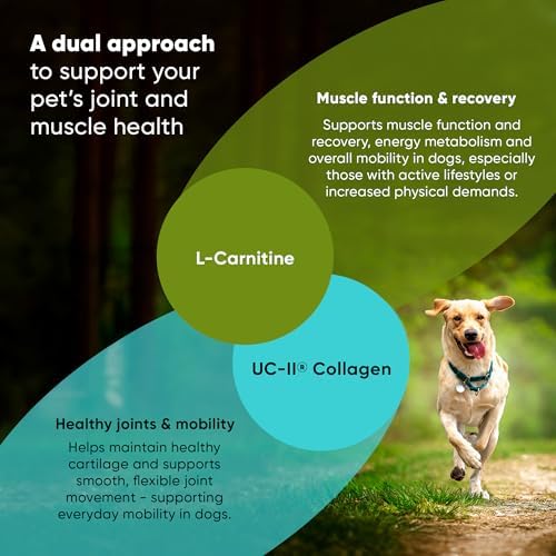 Joint & Muscle Health Supplement, Medium & Large Dogs, 30 Caps