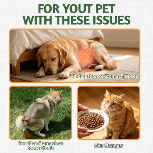 Just Try Pumpkin Powder for Dogs Fiber Supplement Digestive Support 6.35 oz