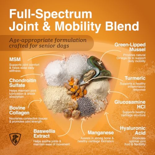 NutraRegen Select Forte Dog Joint Supplement for Senior Dogs – Glucosamine, Chondroitin, MSM, Collagen & Green-Lipped Mussel – Hip & Joint Mobility, Flexibility & Comfort – 45 Scoops