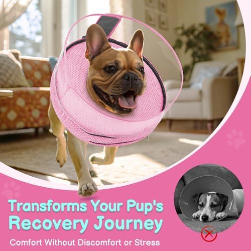 Inflatable Dog Cone with Clear Shield for Added Coverage