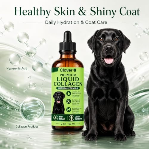 Clover Dogs Liquid Collagen for Dogs, Daily Joint Mobility, Skin & Coat Support Supplement Drops, Easy Liquid Formula for Dogs