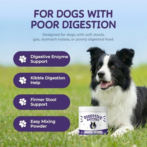 Digestive Enzymes for Dogs, Kibble Digestion & Pancreatic Enzyme Powder