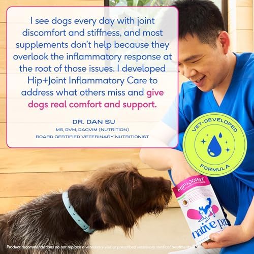 Native Pet Inflammatory Care - Pain Relief for Dogs - Green-Lipped Mussel, Turmeric & Collagen for Dogs - Hip and Joint Supplement Supports Healthy Inflammatory Response & Joint Comfort - 60 Chews
