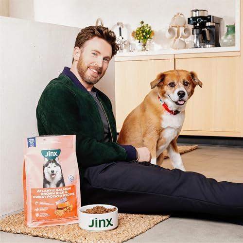 Jinx Dry Dog Food - Grass-Fed Beef, Brown Rice & Sweet Potato, 4lb