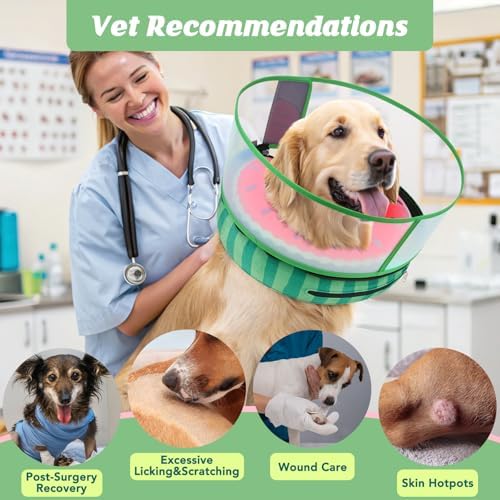 Inflatable Dog Cone with Anti-Licking Clear Shield, Fits Small Dogs