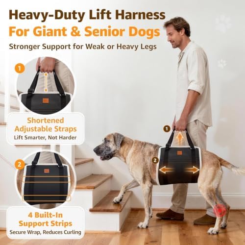 Adjustable Heavy Duty Dog Lift Harness for Giant Dogs Hind Leg Support