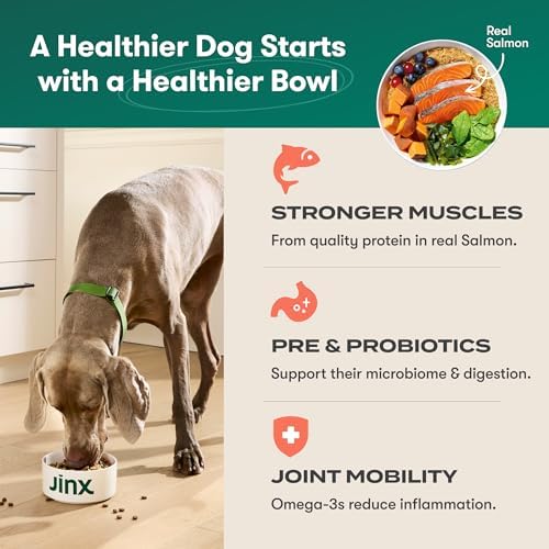 Jinx Dry Dog Food - Real Salmon, Brown Rice & Sweet Potato, 4lb