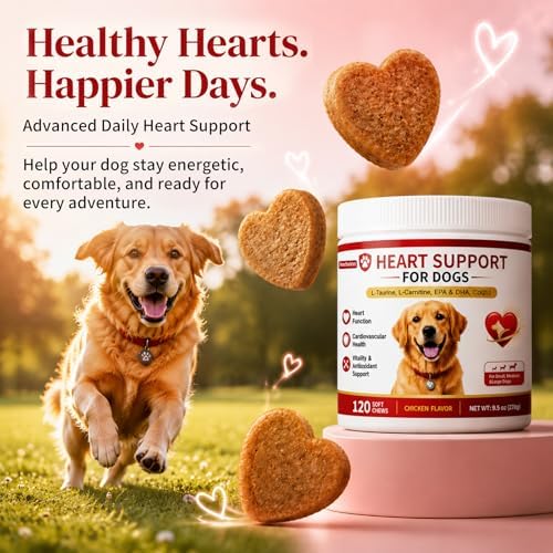 Taurine for Dogs, Heart Support Supplement, Antioxidant - Rich L-Taurine, L-Carnitine, EPA & DHA, CoQ10, Supports Cardiovascular Wellness, Circulation & Heart Function – 120 Chicken Flavour Soft Chews