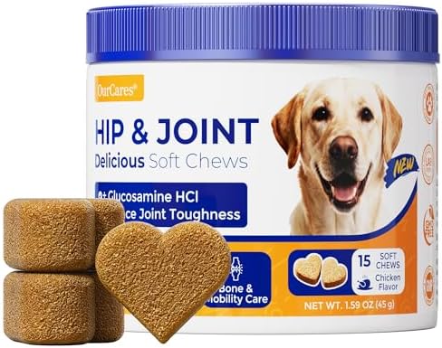 Hip & Joint Supplement for Dogs, Hip and Joint Chews Support Mobility, Senior Small All Breed Pain Relief with Glucosamine Chondroitin MSM Turmeric Green Lipped Mussel, Chicken Flavor, 15 Ct