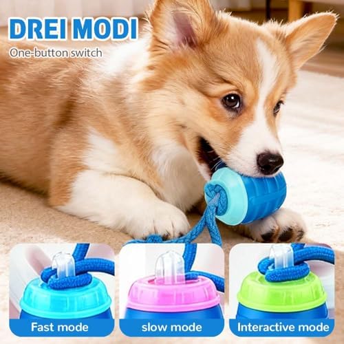 Interactive Dog Toys, 2026 Upgraded Motion Activated Squeaky Cat Balls, 360° Smart Automatic Rolling Moving for Bored Pet Cats Dogs, Interactive Dog Balls (Dark Orange)