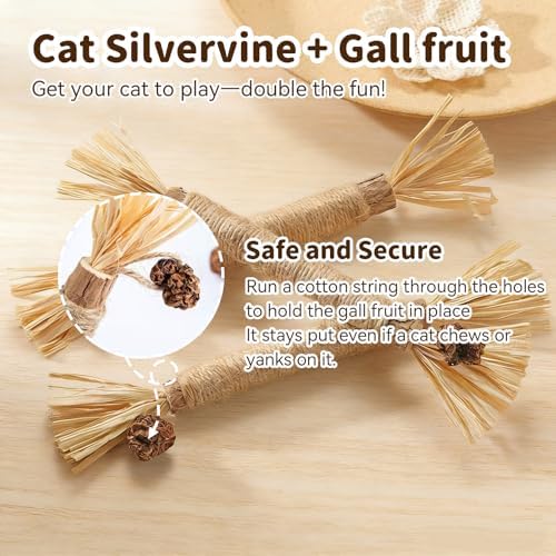 Cat Toys for Indoor Cats, Orange, 3 Pcs Silvervine Sticks & 1 Pc Rope