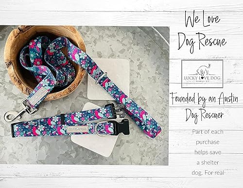 Lucky Love Dog Martingale Collar & Leash Set No Slip – Carriebelle, Small