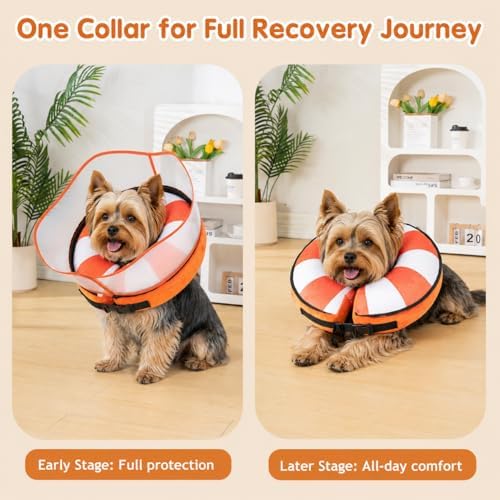 Avont 2-in-1 Dog Cone S Swimring Shield
