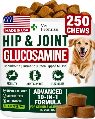 Glucosamine Hip & Joint Supplement for Dogs - 250 Chews with Chondroitin