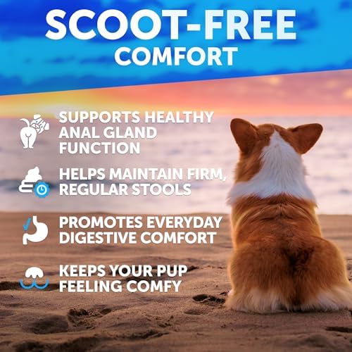 Anal Gland Support Chews for Dogs - Bye Scoot - Dog Fiber Chews w/ Pumpkin