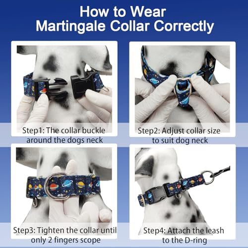 Martingale Dog Collars with Buckle No Slip Training Boy Dog Collar for Small Dogs (Blue Space, Small)