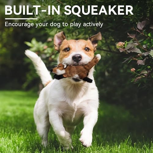 ALL FOR PAWS Squeaky Doy Toy, Fox Dog Toy for Small Medium Breed, Puppy Fetch Toy with Squeaker, Plush Chew Dog Toy, Classic S