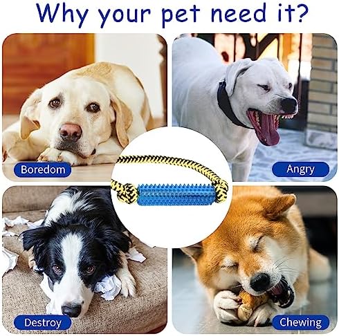 Interactive Dog Toys，Crate Training Aids for Puppies，Green