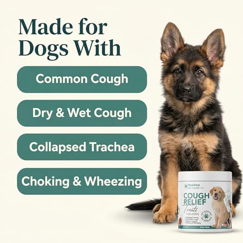 Dog Cough Medicine - 100% Natural Respiratory Support - Relief for Cough and Breathing Discomfort - All-Natural Treats Made with Real Chicken