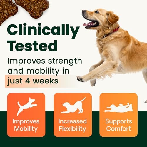 VetriScience Extra Strength Healthy Hip & Joint-Chews, GlycoFlex Glucosamine & Green-Lipped Mussel Joint Support Supplement for Small Breed Dogs,Soothe Joint Discomfort,Chicken 60 Count(Pack of 2)