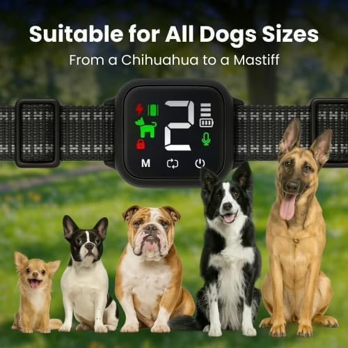 NoBark Smart Anti-bark Dog Collar (Black)