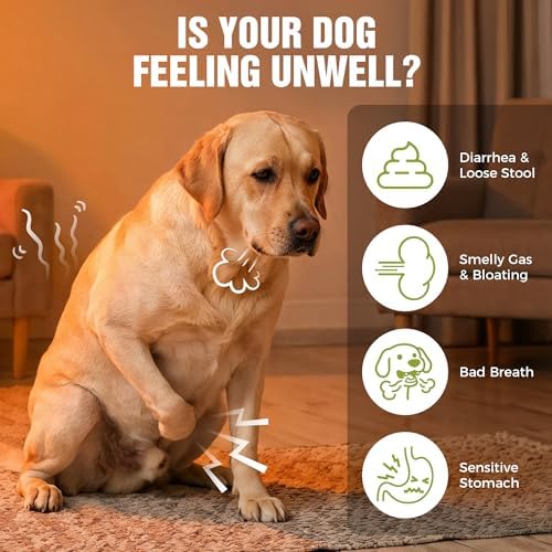 Probiotics for Dogs, Soft Chews for Gut & Digestive Health