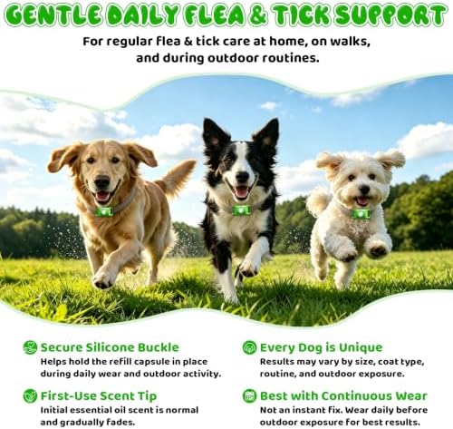 Natural Flea and Tick Collar Kit for Dogs, 1 Collar with Silicone Buckle and 4 Capsules, Water-Resistant Dog Flea & Tick Collar for Small Medium Large Dogs