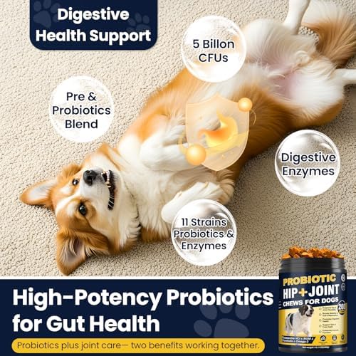 Hip and Joint Supplement for Dogs 200ct with Probiotics Glucosamine for Dog