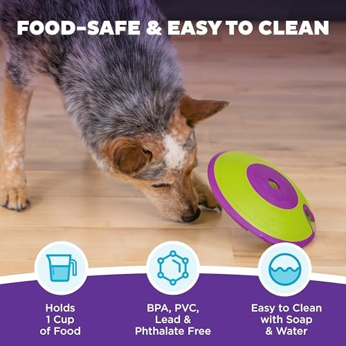 Outward Hound Nina Ottosson Dog Treat Maze Dog Toy, Tap & Flip, 7.5"