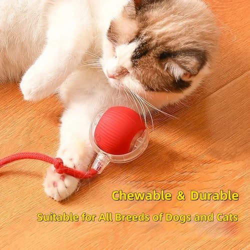 Interactive Electric Dog Ball Toy - USB Rechargeable Smart Pet Bounce Ball, Automatic Moving Toy for Dogs (Red-A)