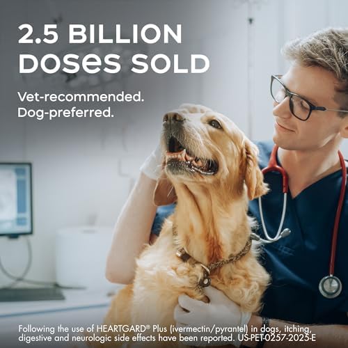 HEARTGARD® Plus (ivermectin/pyrantel) Real-Beef Chewables for Dogs 51-100 lbs (Brown Box) 6 Month Supply of Chews (Heartworm Disease Preventive)