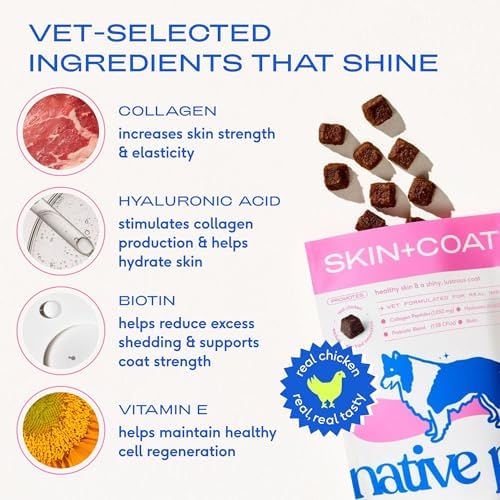 Native Pet Omega Skin and Coat Chews for Dogs (30 Air-Dried Chews) & Omega Oil for Dogs (8 Oz.) - Omega 3 Fish Oil Bundle Promotes Healthy Skin, Shiny Coat, & Strong Joints