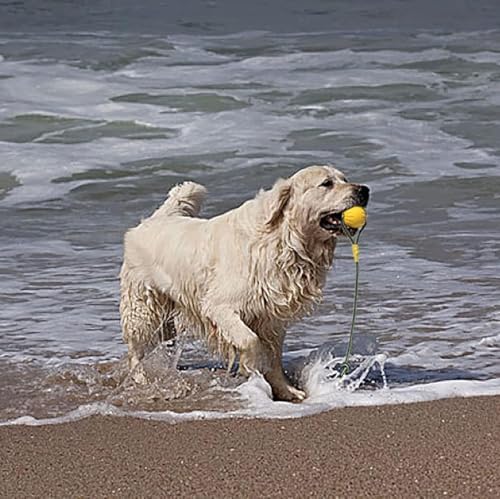 2 Pack Ball with Rope Dog Toy,Fling Dura Foam Toy,Dog Water Float Ball Rraining Boall on Rope (2 Pieces 7cm/2.8")