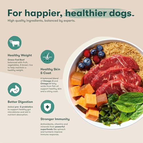 Jinx Dry Dog Food, Large Breed - Beef, Brown Rice & Sweet Potato, 30lb