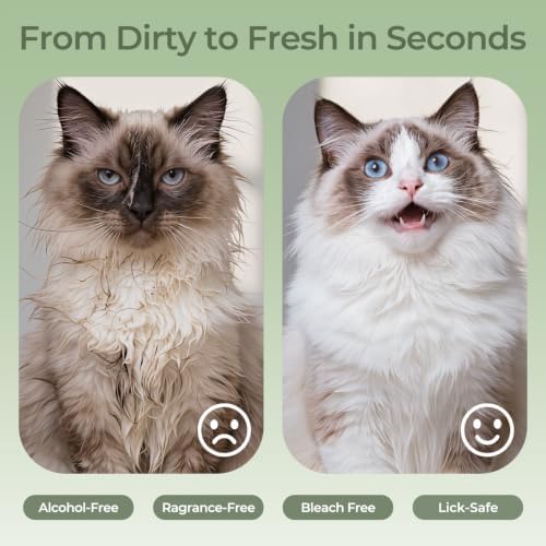 Pet Wipes Gloves for Dogs and Cats, Disposable Pet Cleaning Gloves for Paws, Coat, Face and Butt, Soft Dog Wipes and Cat Wipes for Daily Grooming, Travel and Outdoor Use