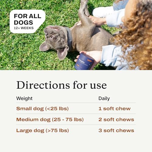 PetLab Co. Ear & Coat Support Bundle: Support Ear Health & Hygiene with Our Dog Ear Cleaner 4 Ounces & Itch Relief Chews Designed to Support Optimum Skin Condition & Maintain Skin Health 30 Count