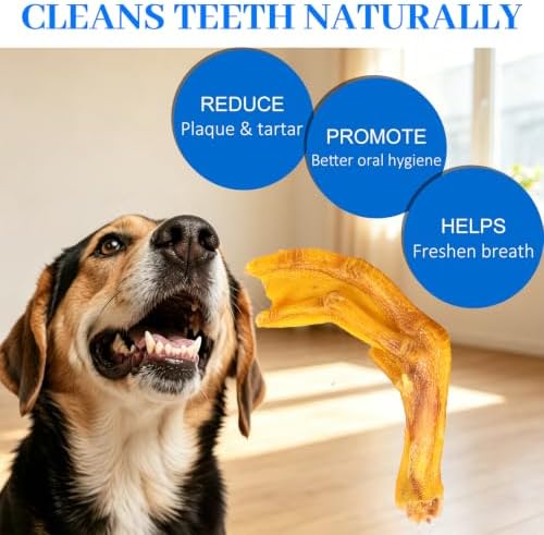 Duck Feet for Dogs, 12 Count Dog Chews Joint & Dental Health Supplement