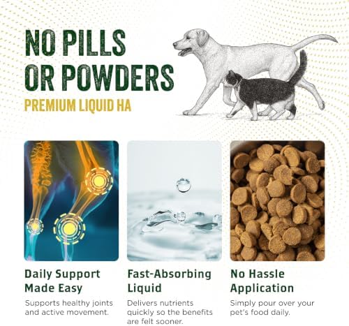 LubriSyn HA Hip & Joint Supplement Plus MSM for Dogs & Cats, 16 oz