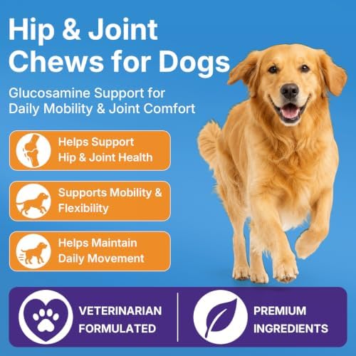 Dog Joint Supplement, Hip and Joint Supplement with Glucosamine Chondroitin