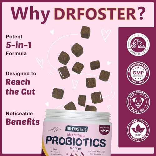 DRFOSTER Probiotics for Dogs, 6 Billion CFU, Pumpkin, 120 Chews