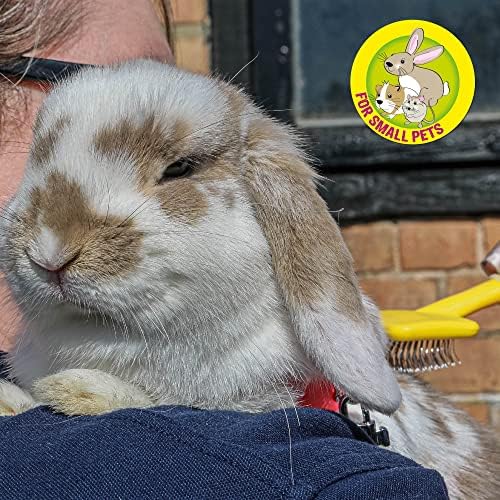 Ancol Ergo Animal Slicker Brush - Grey and Yellow Pet Grooming Tool for Rabbits Guinea Pigs Dogs and Cats - Soft Bristles for Face and Ears - Ergonomic Handle Design - Small
