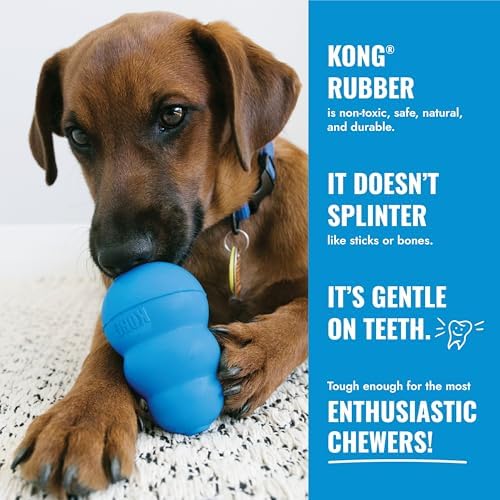KONG Puppy Ball with Hole, Natural Rubber Teething Toy, Small Puppies, Blue