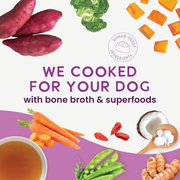 Health Extension Gently Cooked Grain-Free Vegetarian Formula Dog Food, Human-Grade & Shelf-Stable with Superfoods, Supports Digestion, Immunity, Skin & Coat, 9 oz Pouch (Pack of 10)