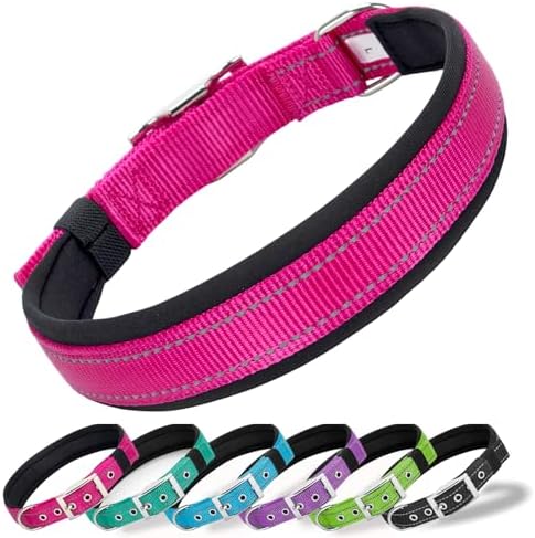 Reflective Dog Collar for Medium Dogs Wide Padding 6 Holes Adjusta
