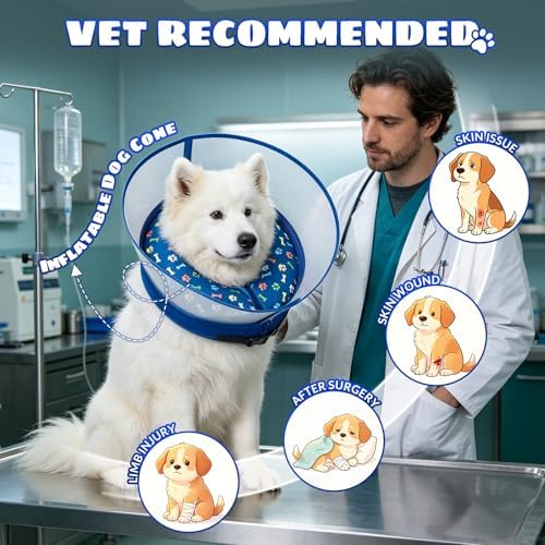 2-in-1 Inflatable Dog Cone Collar, Transparent Anti-Licking Shield with Detachable Soft Padding, Adjustable Elizabethan Collar for Small, Medium, Large Dogs and Cats (L)