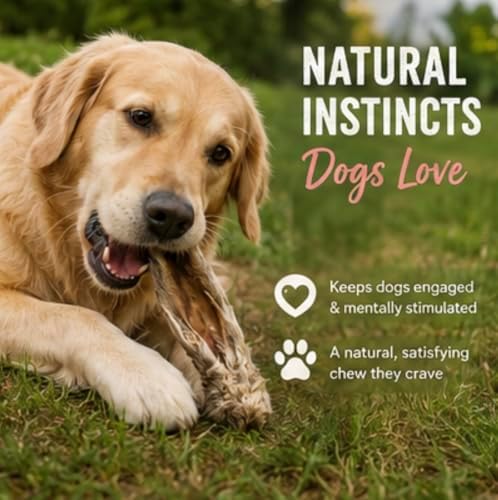 Rabbit Ears for Dogs with Fur – Air Dried Single Ingredient Dog Treats – Natural Rabbit Ear Chews for Dental Health & Digestion – High Protein Dog Chews – 10 Count