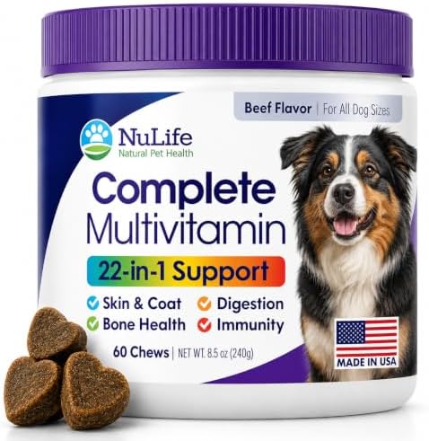 Dog Multivitamin Chewable - 22 in 1 Dog Vitamins and Supplements with Green Lipped Mussel & Omega 3 for Joints, Skin & Coat, Immune System - Senior & Puppy Multivitamin for Dogs - 60 Beef Chews