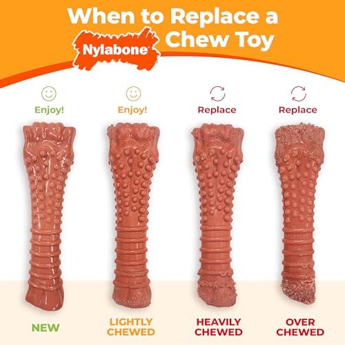 Nylabone Power Chew Dental Groove Bone Dog Chew Toy, Bacon Flavor, Medium