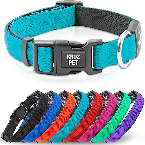 Dog Collar for Medium Dogs (Width- 3/4", Length - 17"-21.5") | Adjustable Padded Turquoise Dog Collar with Heavy Duty D-Ring | Soft Comfortable Fit for Medium Dogs | (Turquoise, Medium)