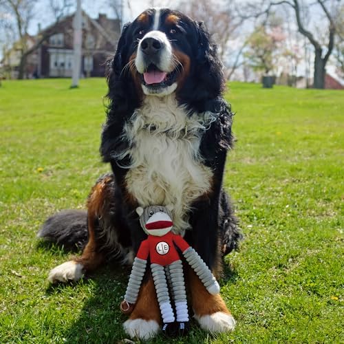 Littlearth NHL Team Sock Monkey Pet Toy - Officially Licensed Teams